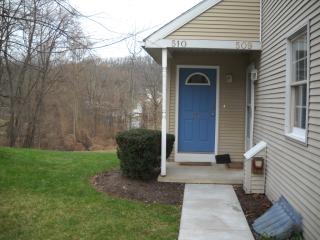 510 Maplewood Ave, Hummels Store PA  19540-1520 exterior