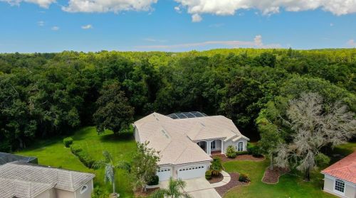 3874 Crescent Cove Pl, Tarpon Springs FL  34688-7708 exterior