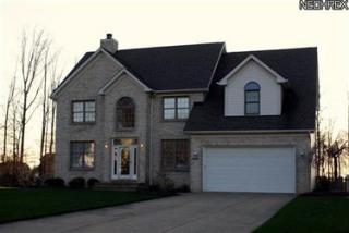 8520 Oaktree Dr, Macedonia, OH 44056-2063