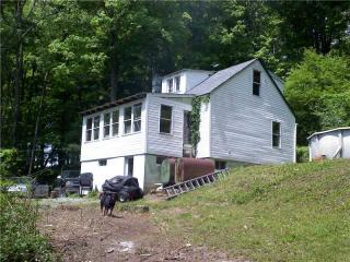 217 Green Hollow Ln, Rector, PA 15677-1618