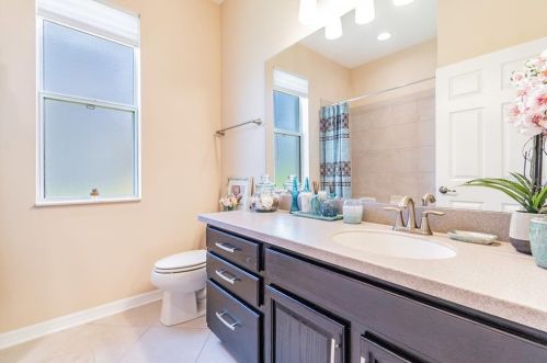 11156 Belle Hvn Dr, New Port Richey FL 34654-4491 exterior