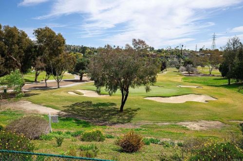 7014 Estrella De Mar Rd, Carlsbad, CA 92009-6133