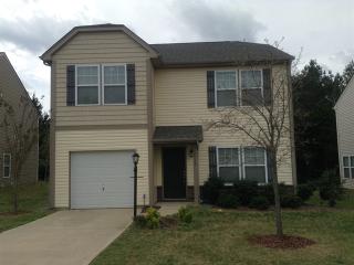 15733 Lakepoint Forest Dr, Charlotte NC  28278-7617 exterior