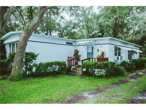 12416 Eloian Dr, Thonotosassa, FL 33592-2406