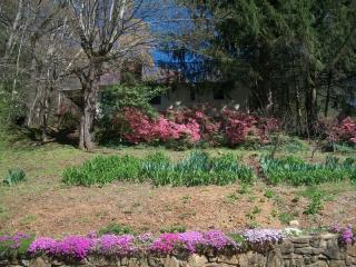 11 Von Ruck Ct, Asheville, NC 28801-2025