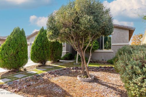 19502 Piccolo Dr, Maricopa AZ  85138-4323 exterior