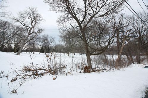 1344 Randolph Ct, Milwaukee WI  53212-1845 exterior