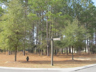 160 Hampton Lake Dr, Bluffton, SC 29910-9572