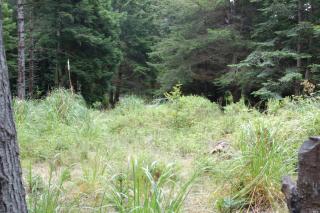 24900 Hillshore Dr, Fort Bragg, CA 95488-8714