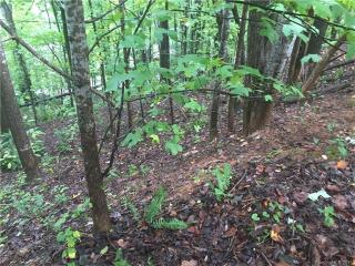 120 Laurel Ridge Dr, Flay, NC 28021-9022