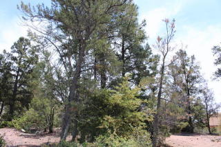 910 Boulder Ridge Cir, Payson, AZ 85541-6619