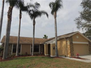 2913 Windridge Dr, Tarpon Springs, FL 34691-2618