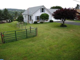 207 Hatchet Cv, Brommerstown PA  17922-9528 exterior