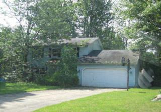 1100 Fanwood Ct, Painesville, OH 44077-5440