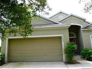 24829 Vintage Ct, Lutz, FL 33559-7401