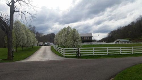 9034 Left Fork Durbin Rd, Catlettsburg, KY 41129-8731