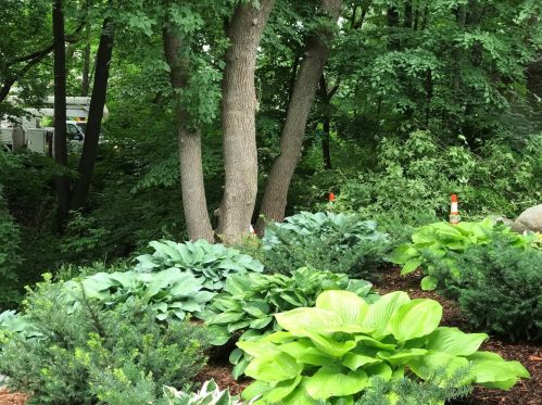 126 Freedom Rd, Alex MN  56308-8903 exterior