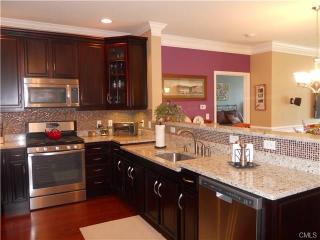 202 Center Meadow Ln, Danbury, CT 06810-1500