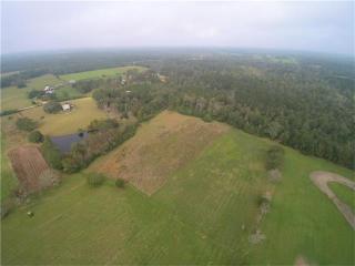 56234 Loranger Rd, Loranger, LA 70446-2522