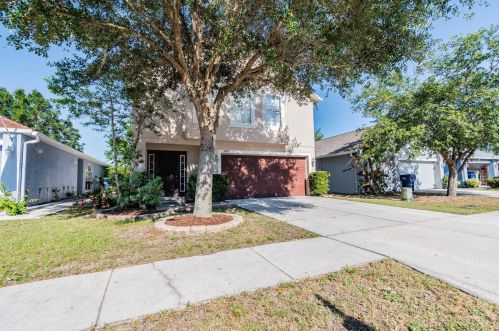 3602 Fyfield Ct, Land O Lakes, FL 34638-8109