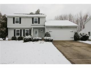 9596 Hickory Hill Dr, Twinsburg, OH 44087-1546