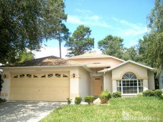 11029 Bentwood Ct, New Port Richey FL  34654-6034 exterior