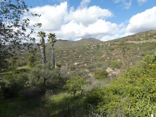 19515 Japatul Rd, Alpine CA  91901-3412 exterior