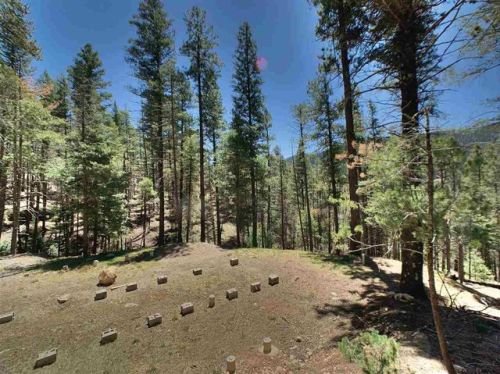 90 Heather Way, Cloudcroft, NM 88317-9207