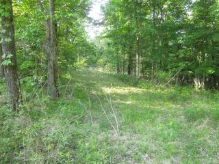 5950 Phifer Mountain Rd, Cookeville TN  38506-6942 exterior
