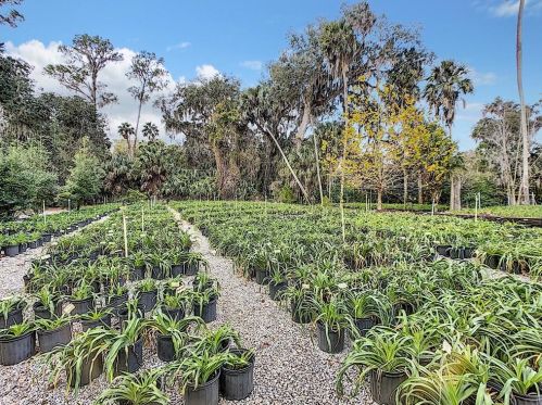 1240 Enterprise Osteen Rd, Deltona FL  32725-9401 exterior