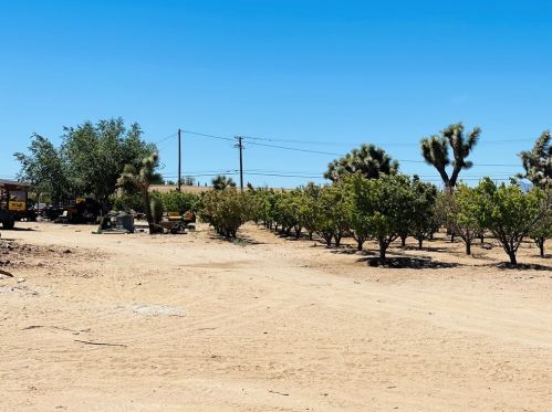 9735 5th St, Victorville, CA 92392-2046