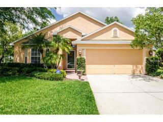 509 Cypress View Dr, Oldsmar, FL 34677-4653