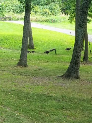 1237 Geneva National Ave, Lake Geneva WI  53147-4829 exterior