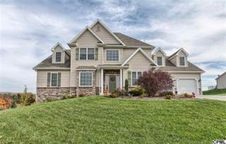 742 Maple Shade Dr, Alpine, PA 17339-8923