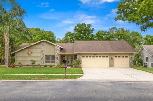 3066 Edgemoor Dr, Palm Harbor, FL 34685-1705