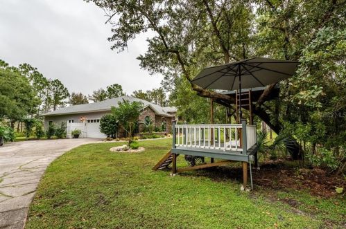 12065 Gray Birch Cir, Orlando, FL 32832-5702