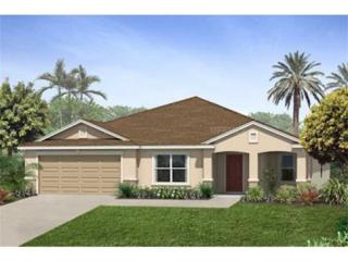 3008 Boating Blvd, Kissimmee, FL 34746-4541