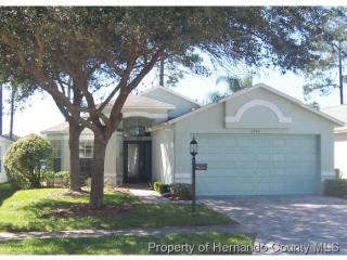 11710 Wheatfield Loop, Port Richey, FL 34667-5607