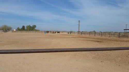 1309 393rd Ave, Tonopah, AZ 85354-8127