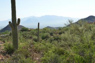 6905 Thunder Canyon Way, Tucson, AZ 85745-8722