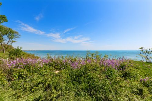 10804 Lakeview Rd, Thiensville, WI 53092-5814