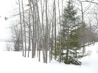 75954 Lake Galilee Rd, Mellen, WI 54546-9174