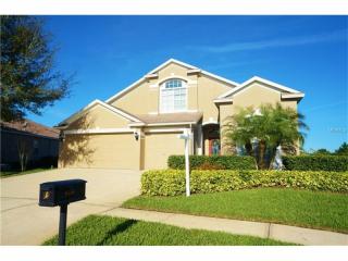 6216 Bridgevista Dr, Lithia, FL 33547-4847
