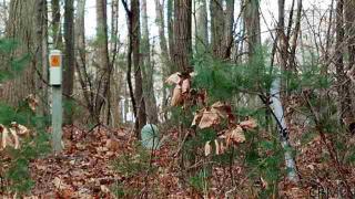 8 Pinecrest Dr, Schenectady, NY 12309-1640