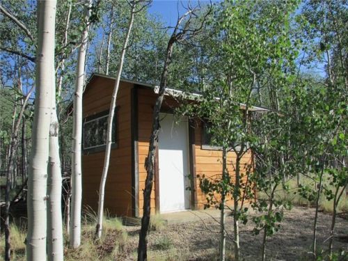 783 Pinto Trl, Fairplay, CO 80456-9737