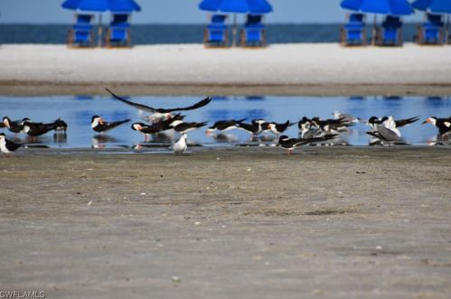 32 Fairview Blvd, Fort Myers Beach FL  33931-4565 exterior