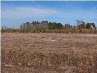 278 Sassafras Ct, Walterboro SC  29488 exterior