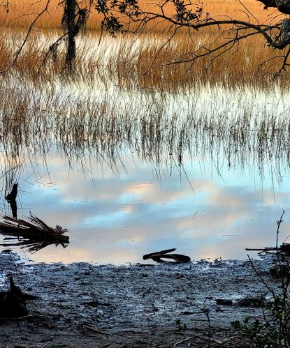 175 Oak Pt Lndg Dr, Mount Pleasant SC 29464-6279 exterior