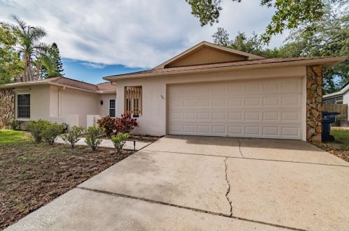 2533 Pinetta Ct, Tarpon Springs, FL 34691-6808