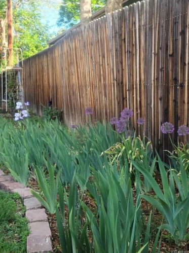 2883 Otis St, Denver CO 80227-3528 exterior